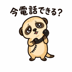 Ugly-Cute Meerkat Daily Life