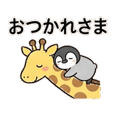 Tiny Penguin & Tall Giraffe Buddies