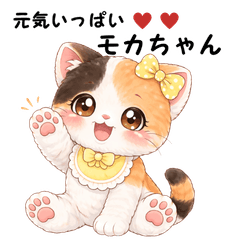 Baby kitten Mocha - full of energy!