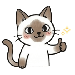 Bon janjan_20260406143531