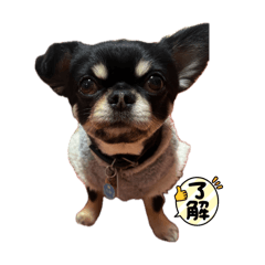 Tao_20260405090820