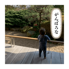 LOUIS_20260405195802