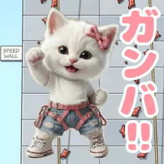 Speed climbing white cat