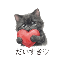 Fluffy Black Cat - Love & Affection