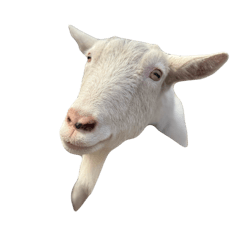 chan___waka_20260405204758