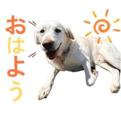 metime_20260405205222