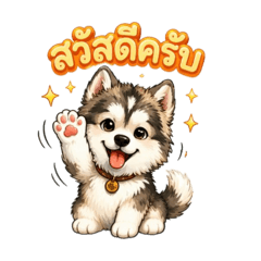 Sut_20260405192330