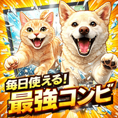 white dog & ginger tabby duo.