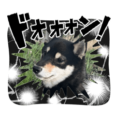 yuuri_20260405211035