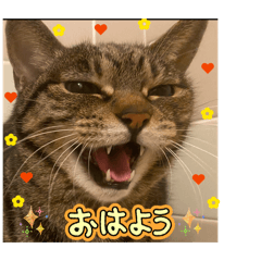 Shuzo_20260405211033