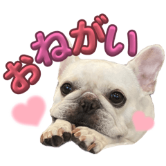 mihiiiiiiiiii_20260405211556