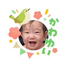 Shibachan_20260405212355