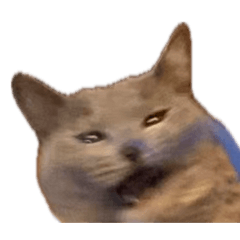 chiba_20260405211711