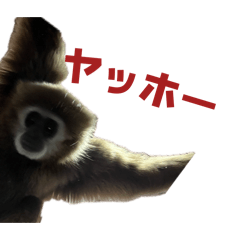 pakupakuporon_20260405212604