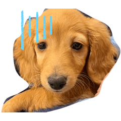 kurorin_20260405222524