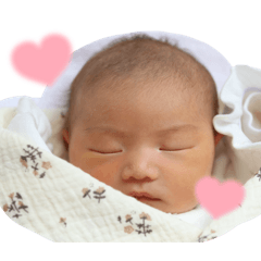 yuuka_20260405165445