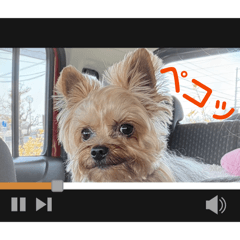 Mimii_20260405222158