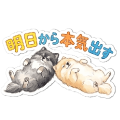 Kinako Papa_20260405222148