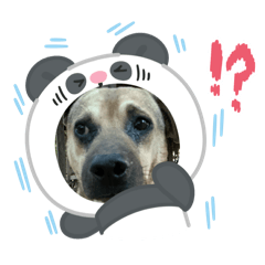 Stikger_20260405195640