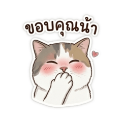 Zebar_20260405211943