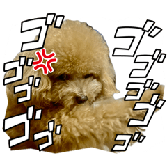 Tommy_20260405233037