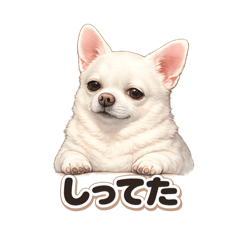 Sakura Endo_20260405234235