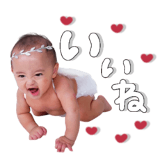 toh569_20260405131137