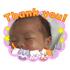 sally.y_20260406003603