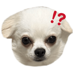 piyochan^_^_20260406004532