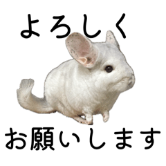 chamiramama_20260406004800