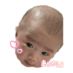 yukari_20260406011412