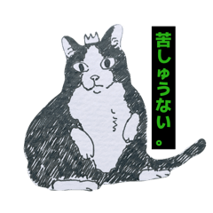 catnip_20260406061127