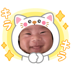 momakam_20260406064547