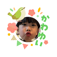 shige_20260406065529