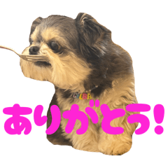 chura_20260406080032