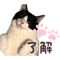 Konyanko_20260405155941