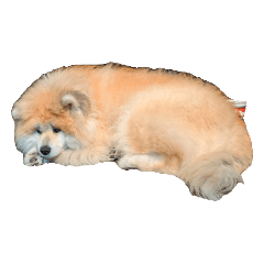 taraco_20260405160010