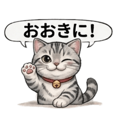 Easy-to-Use Kansai Dialect Cat Stickers2