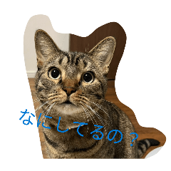 ERIERI_20260405160138