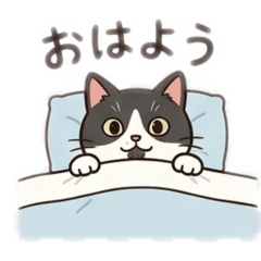 soraumi_20260406084801