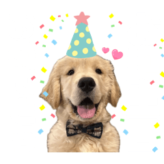 Hyunjoon_20260406083303