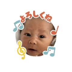 nimio_20260406084357