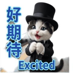 2026 Hi  my  friend-4