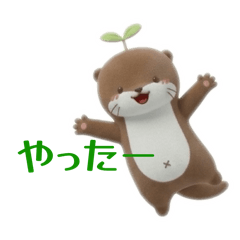 Chitopii Lab_20260405164751