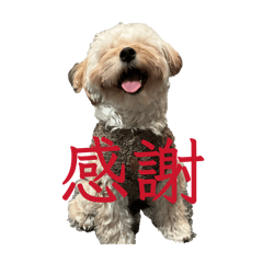 yokushaterianinaritai_20260405172957