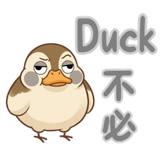 Homophones in everyday life