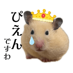 Komame_20260405223403