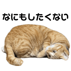 YAMADA_20260405232300