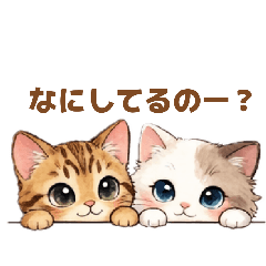 Bengal & Ragdoll 5 Daily Life