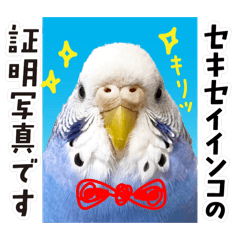 OTORI_20260406012240